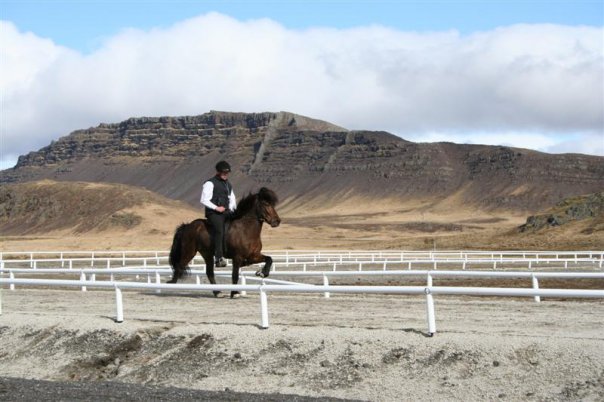 Þorsteinn á Veigari frá Egilsstaðakoti